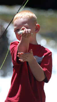 Garrett_and_Cole_V_2008-113.jpg (31347 bytes)