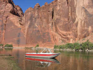 IMG_3206.JPG (374633 bytes)