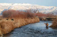 Owens River 2010