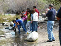 Trout in the Classroom 2010