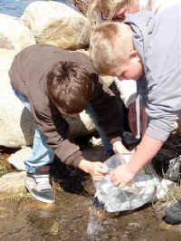 Trout in the Classroom 2010