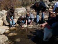 Trout in the Classroom 2010
