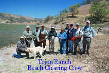 Tejon Ranch Beach Clearing