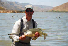 Tejon Ranch Beach Clearing