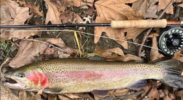 Kern River Fly Fishers - Fishing Report