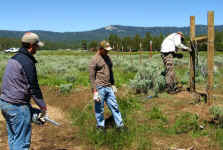 Monache Meadows Fence Project