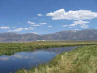 Upper Owens Splendor