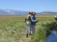 072007_020.jpg (134456 bytes)