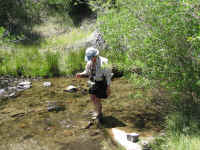 Theresa teaches entomology