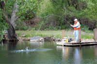 Fish On! @ Tait Ranch Pond