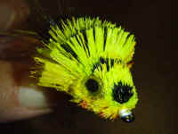 Murakoshi Masterpiece