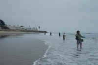 saltwater_07_005_small.jpg (2587 bytes)