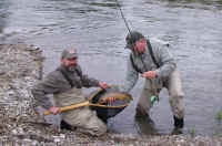 Mike I. and Wayne S. with a big brown