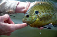 Women in the Outdoors - Tejon Ranch