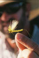 7-7-2006-14.jpg (35064 bytes)