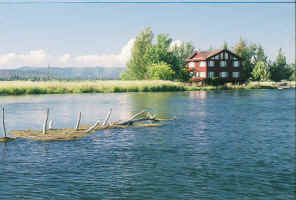 7-7-2006-22.jpg (32456 bytes)