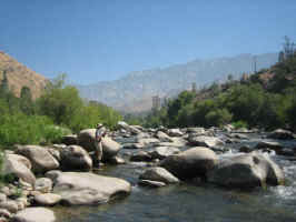 Aug122006 009.jpg (26876 bytes)