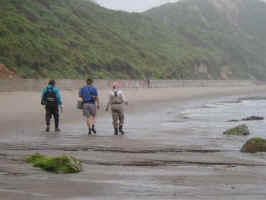 SALT WATER 003.jpg (22301 bytes)