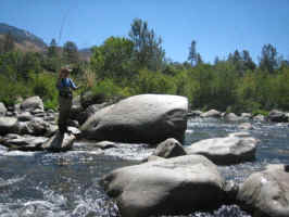 Sept8 003.jpg (34463 bytes)