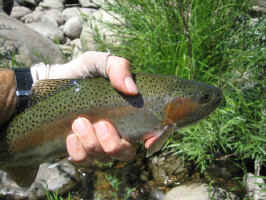 Sept8 016.jpg (39594 bytes)