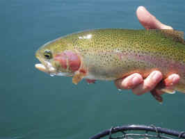 fallriver1.jpg (43749 bytes)