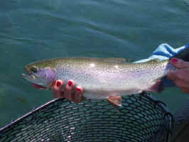 fallriver3.jpg (28795 bytes)