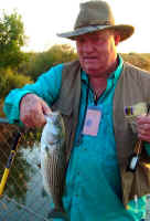 striper1.jpg (60845 bytes)