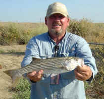 striper3.jpg (46407 bytes)