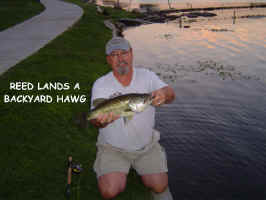 Club Membe Landing a Backyard Hawg
