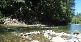 Serene Salmon River, OR